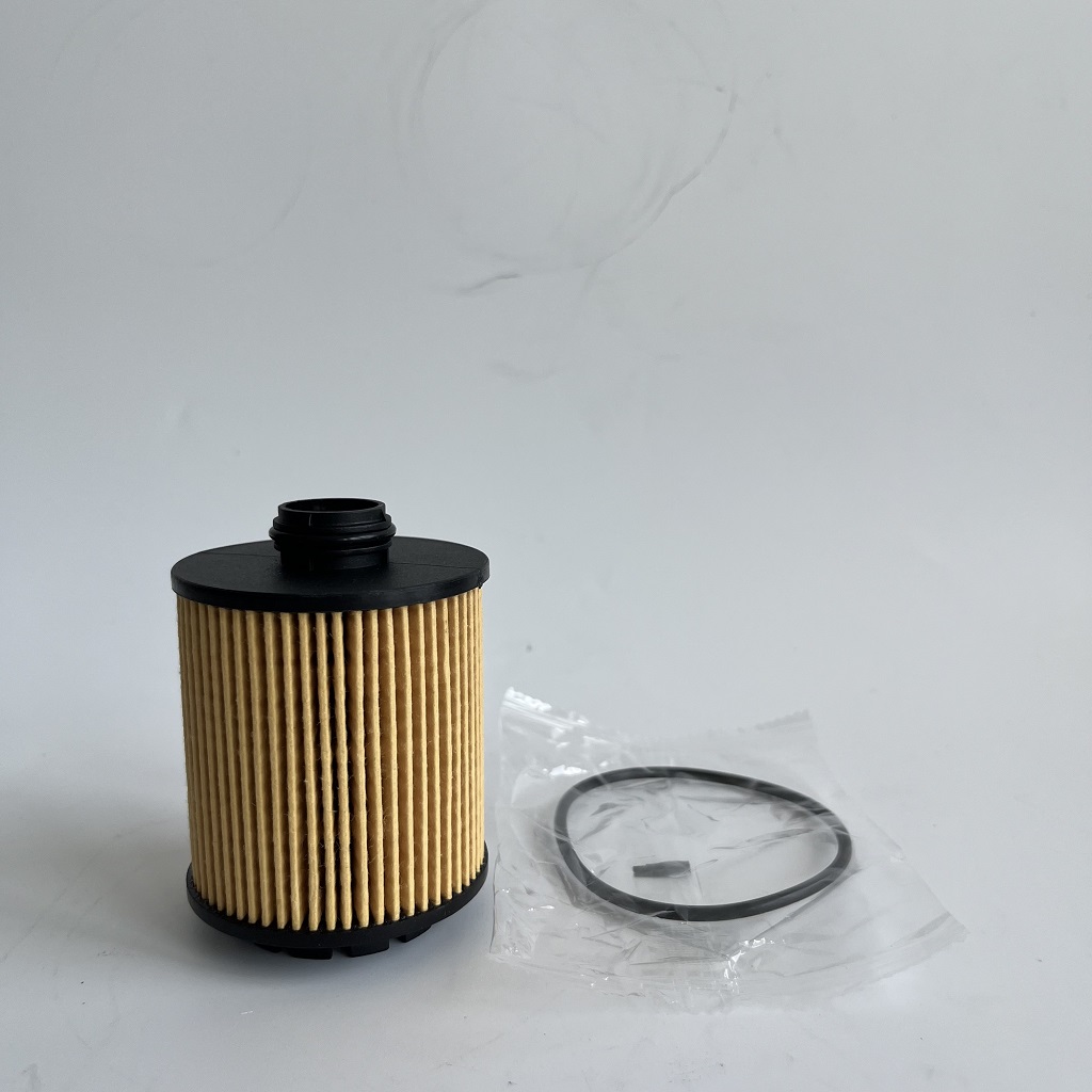 HU7043Z 1612565980 Filter ng langis para sa Petgeot