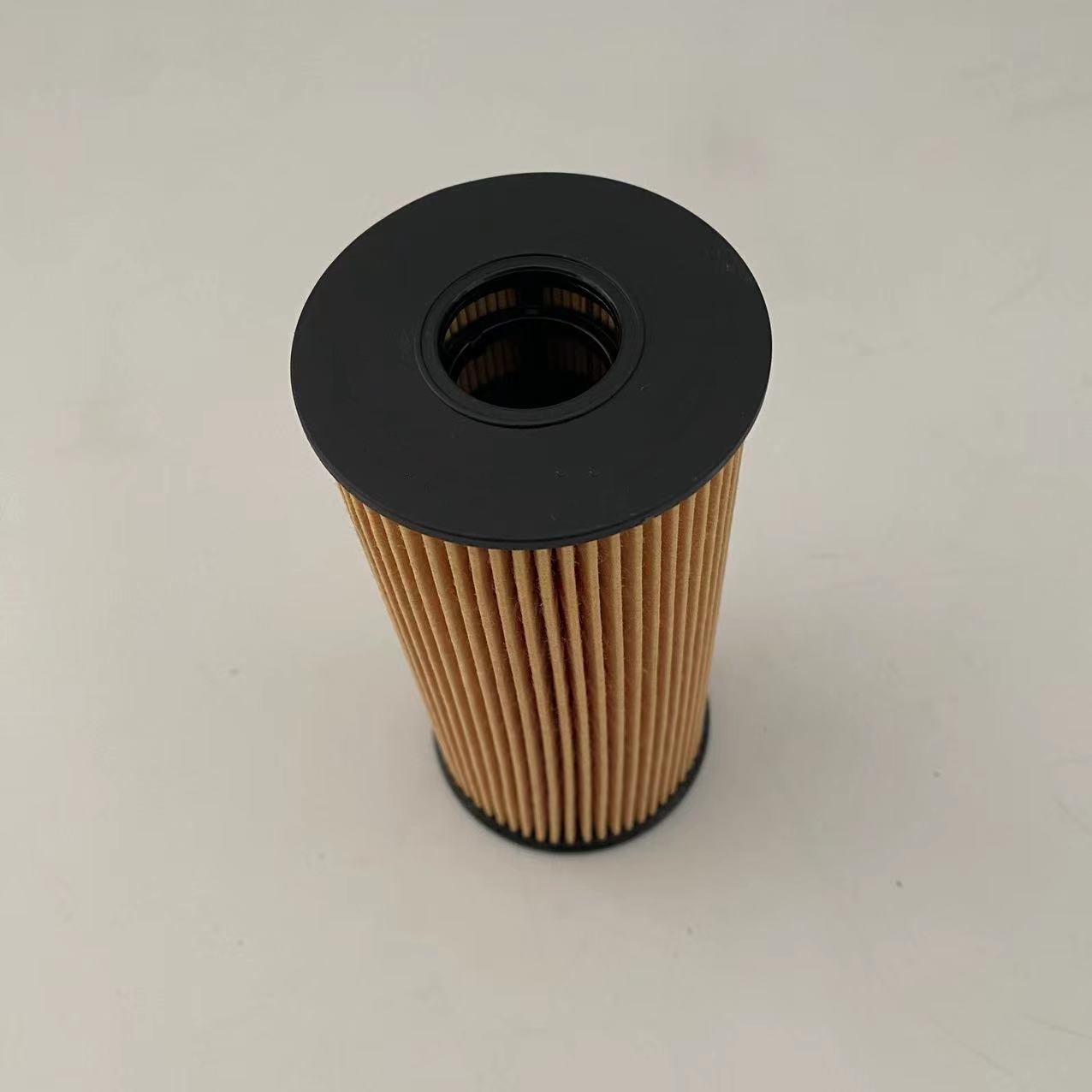 Mga filter ng langis 1012014-FD2301